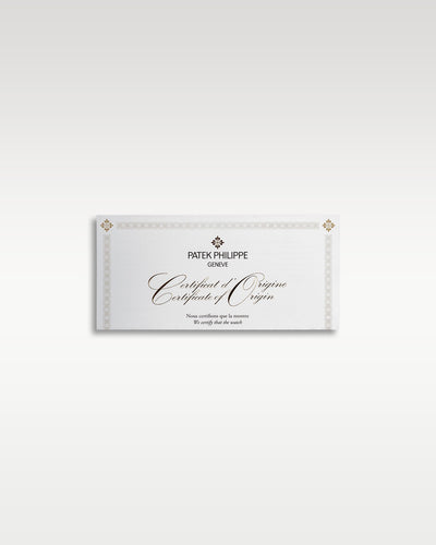 Platinum Patek Philippe Perpetual Calendar 5270P-001 | Grand Caliber TX