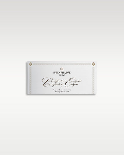 Platinum Patek Philippe Perpetual Calendar 5270P-001 | Grand Caliber TX