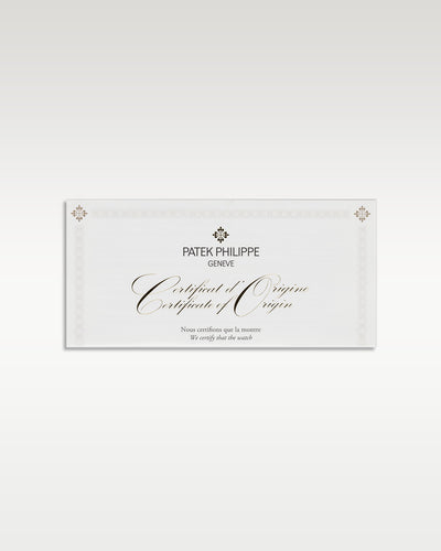 Patek Philippe World Time Chronograph 5930G-001 | Grand Caliber Watches