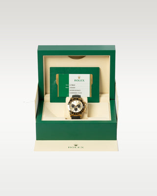 Rolex Daytona Champagne Dial Rubber Strap 116518LN