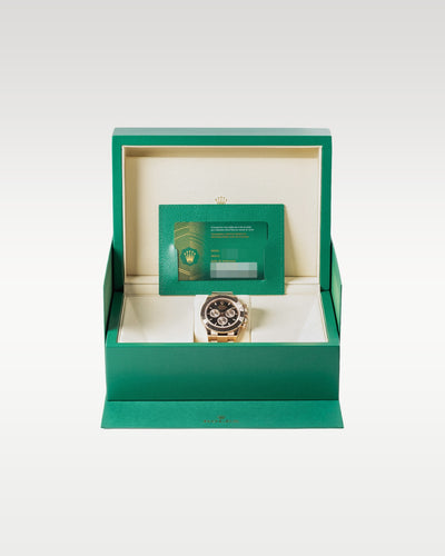 Rolex Daytona 126505