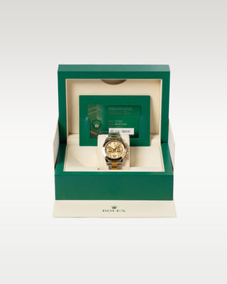 Rolex Daytona Champagne 116503