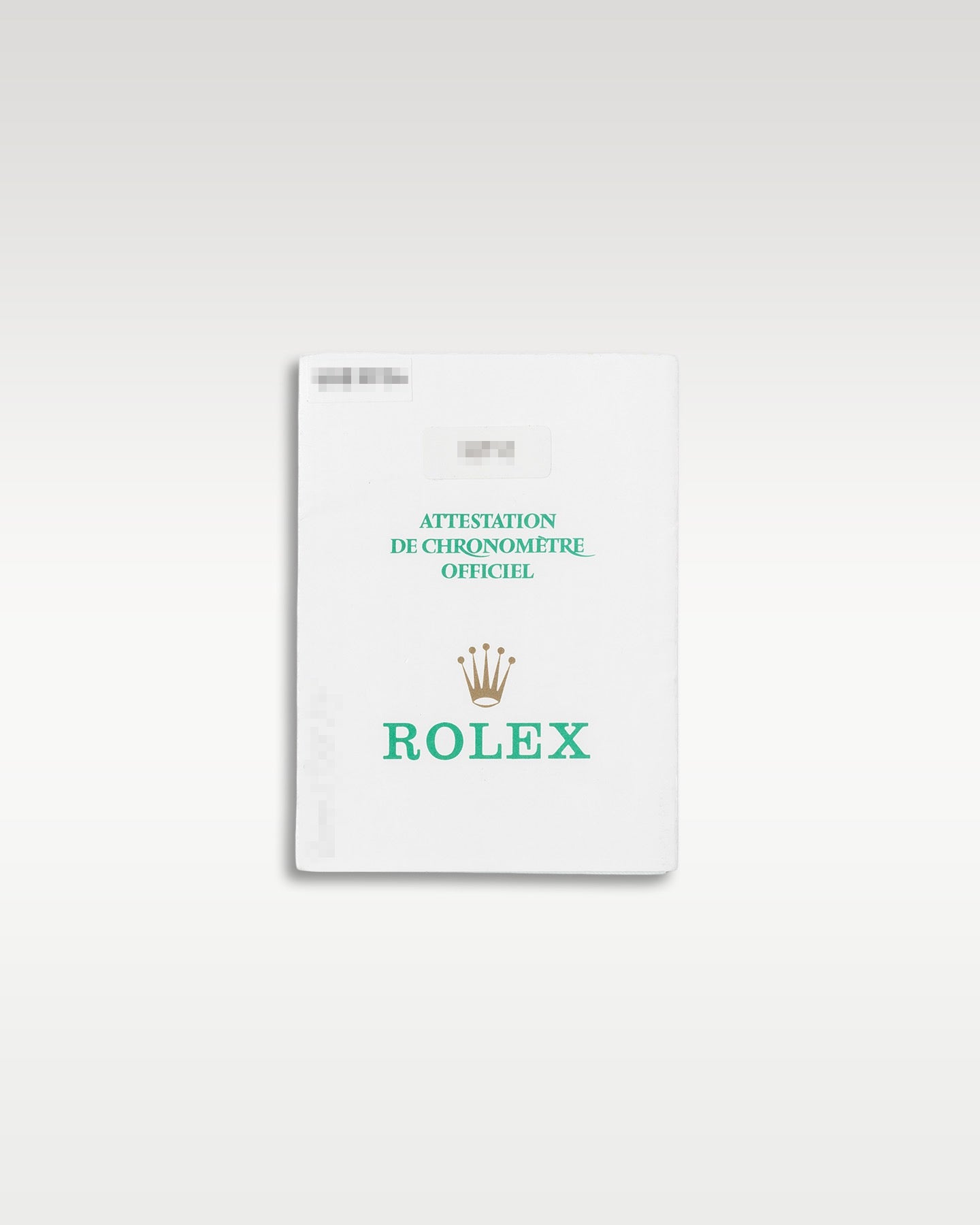 Rolex GMT Master II 16710