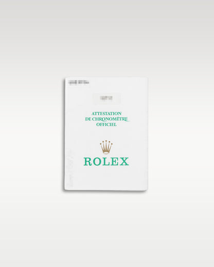 Rolex GMT Master II 16710