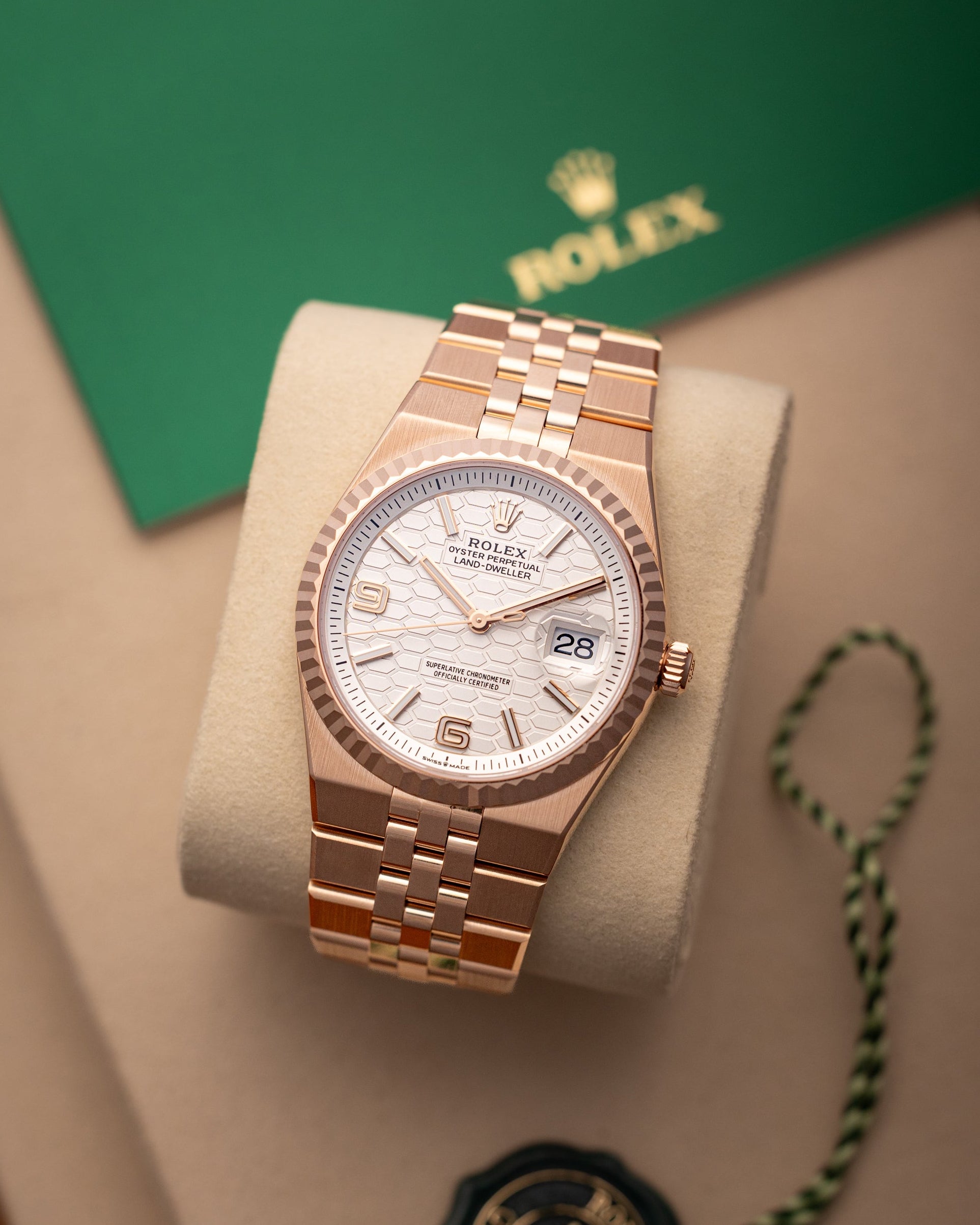 Rolex Land-Dweller 36 127235 | DFW Rolex Watches – Grand Caliber