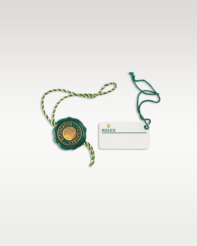 Rolex Oyster Perpetual 124300