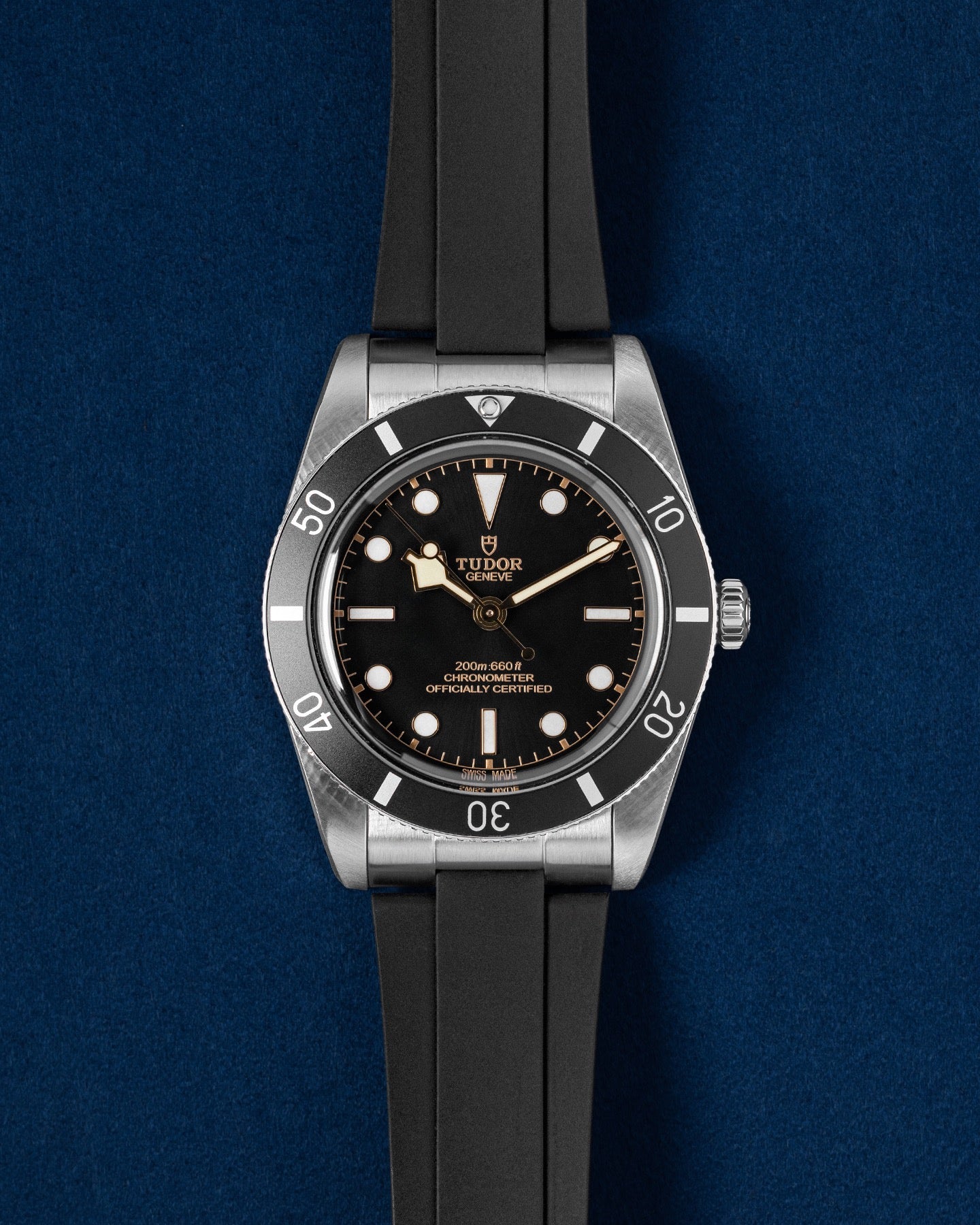 Tudor Black Bay 54 M79000N-0002