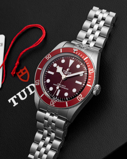 Tudor Black Bay 58 7939A1A0RU