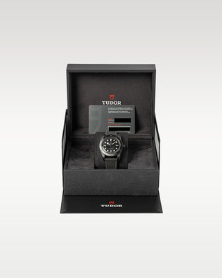 Tudor Black Bay 79210CNU