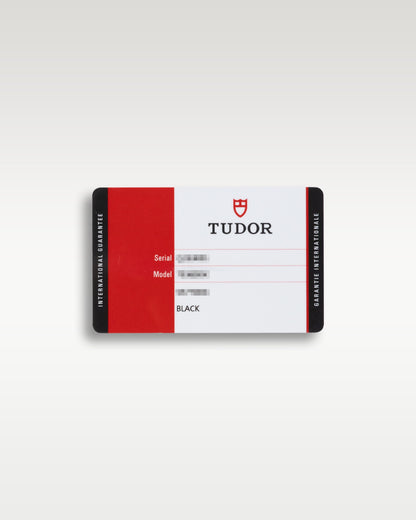 2015 Tudor Black Bay 41 79220B | Grand Caliber Watches