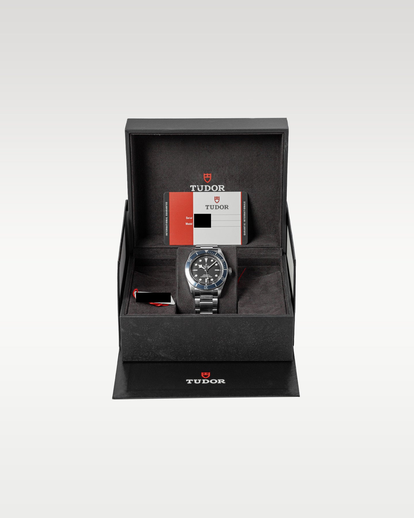 Tudor Black Bay 79230B