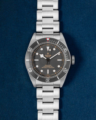 Tudor Black Bay 79230N