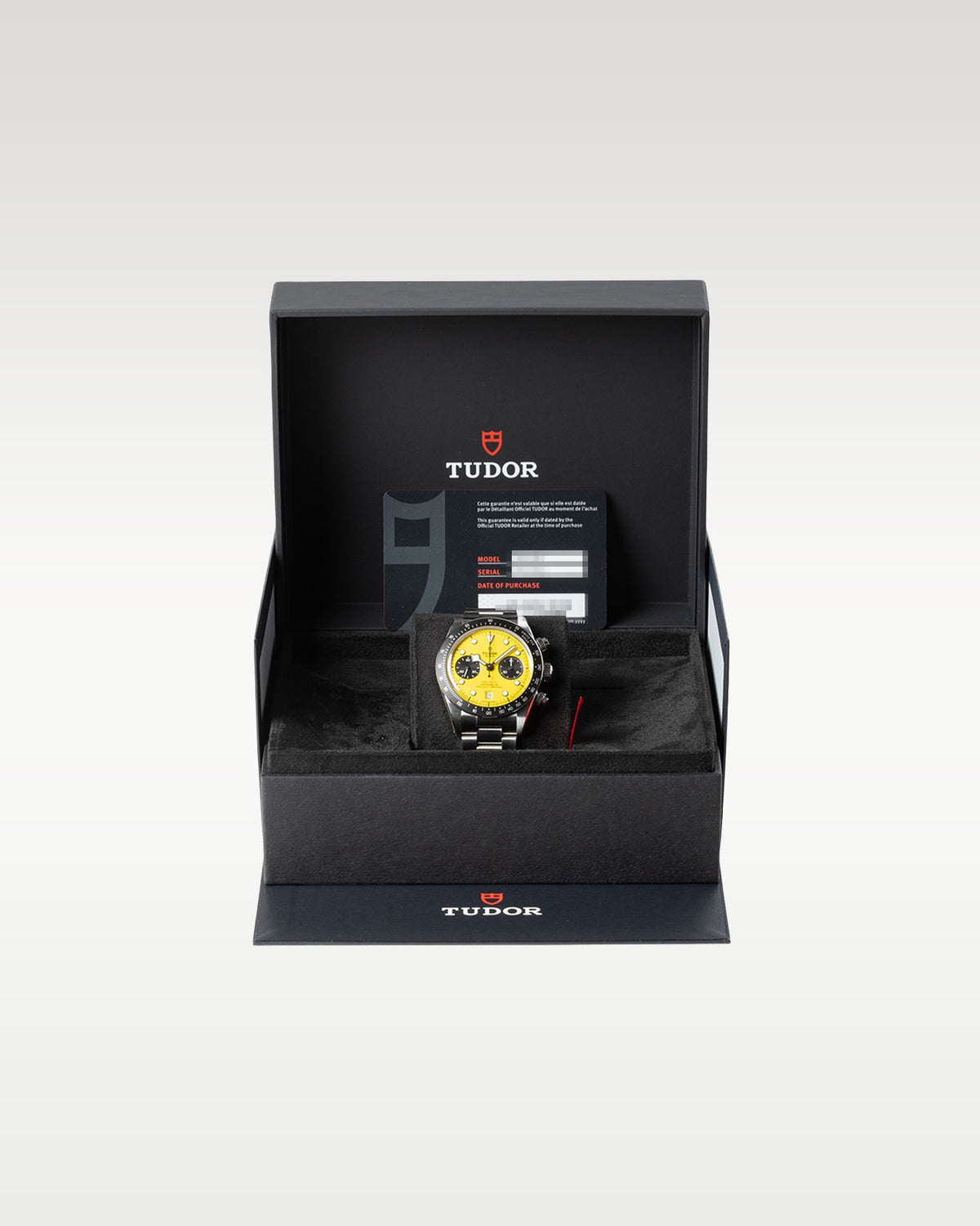 Tudor Black Bay 79310N