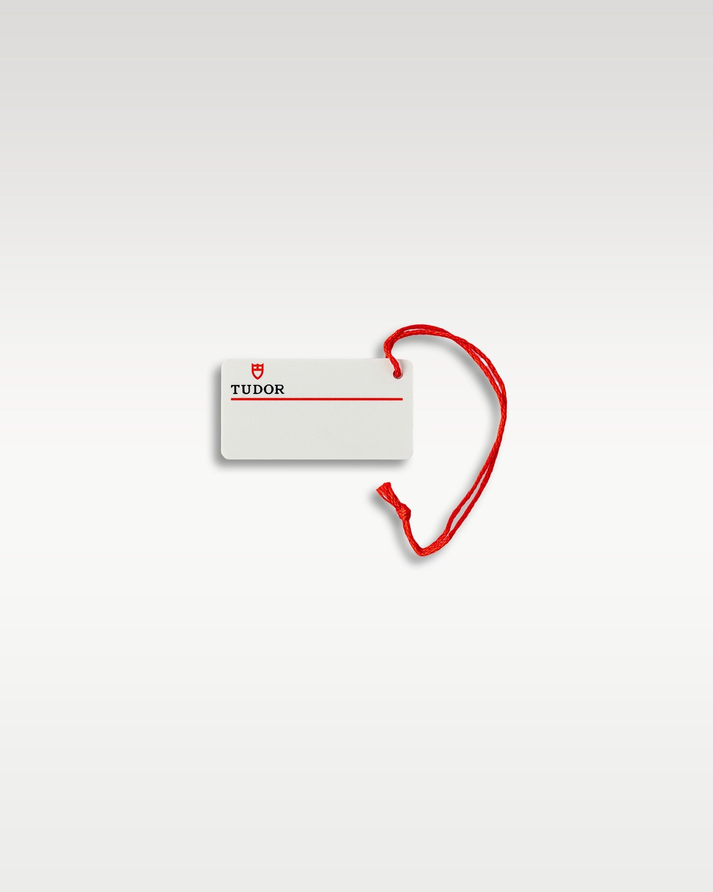 2024 Blue Tudor Black Bay 79360B | Grand Caliber USA