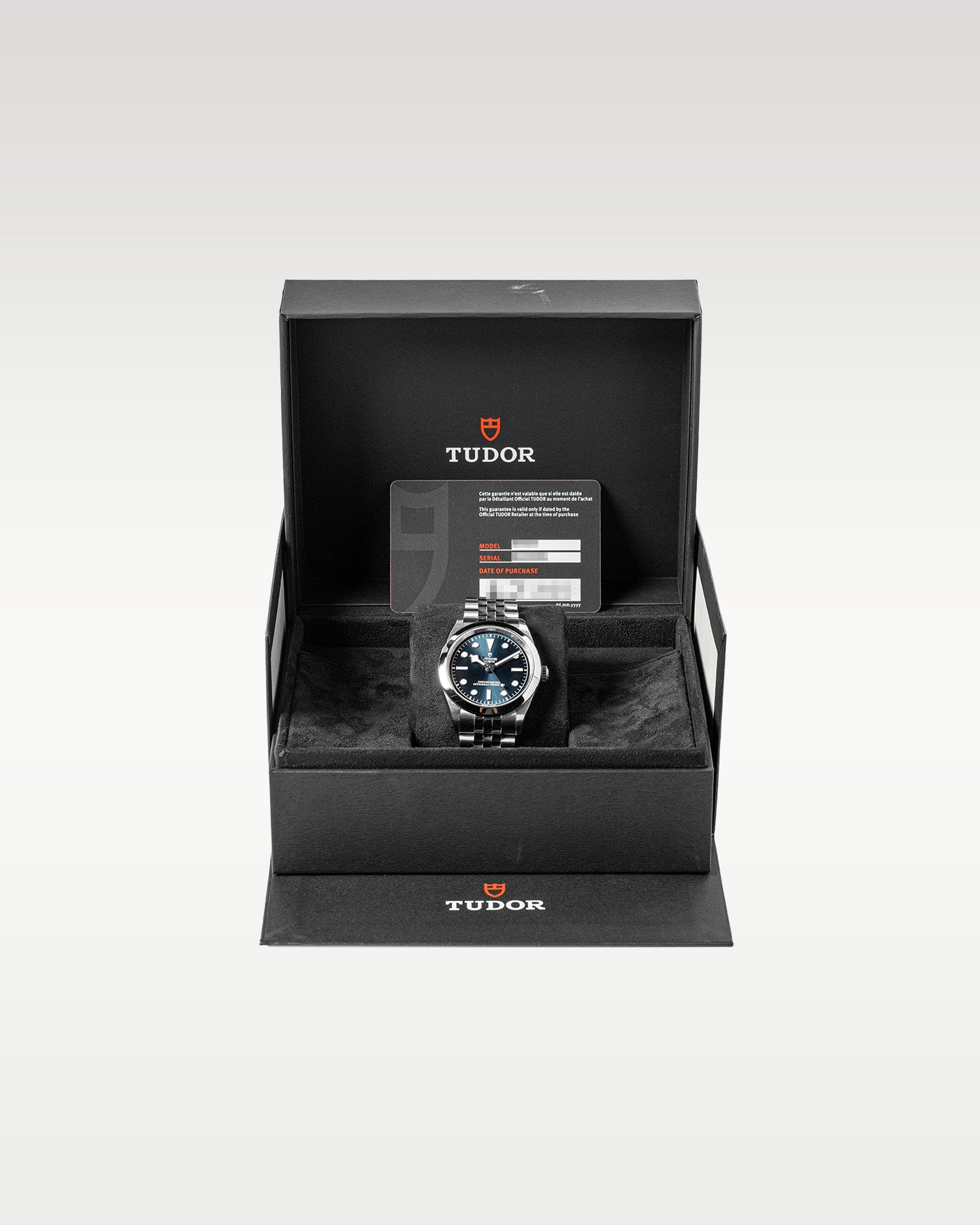 Tudor Black Bay 79660