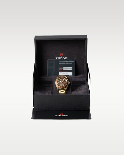 Tudor Black Bay Fifty-Eight M79012M-0001