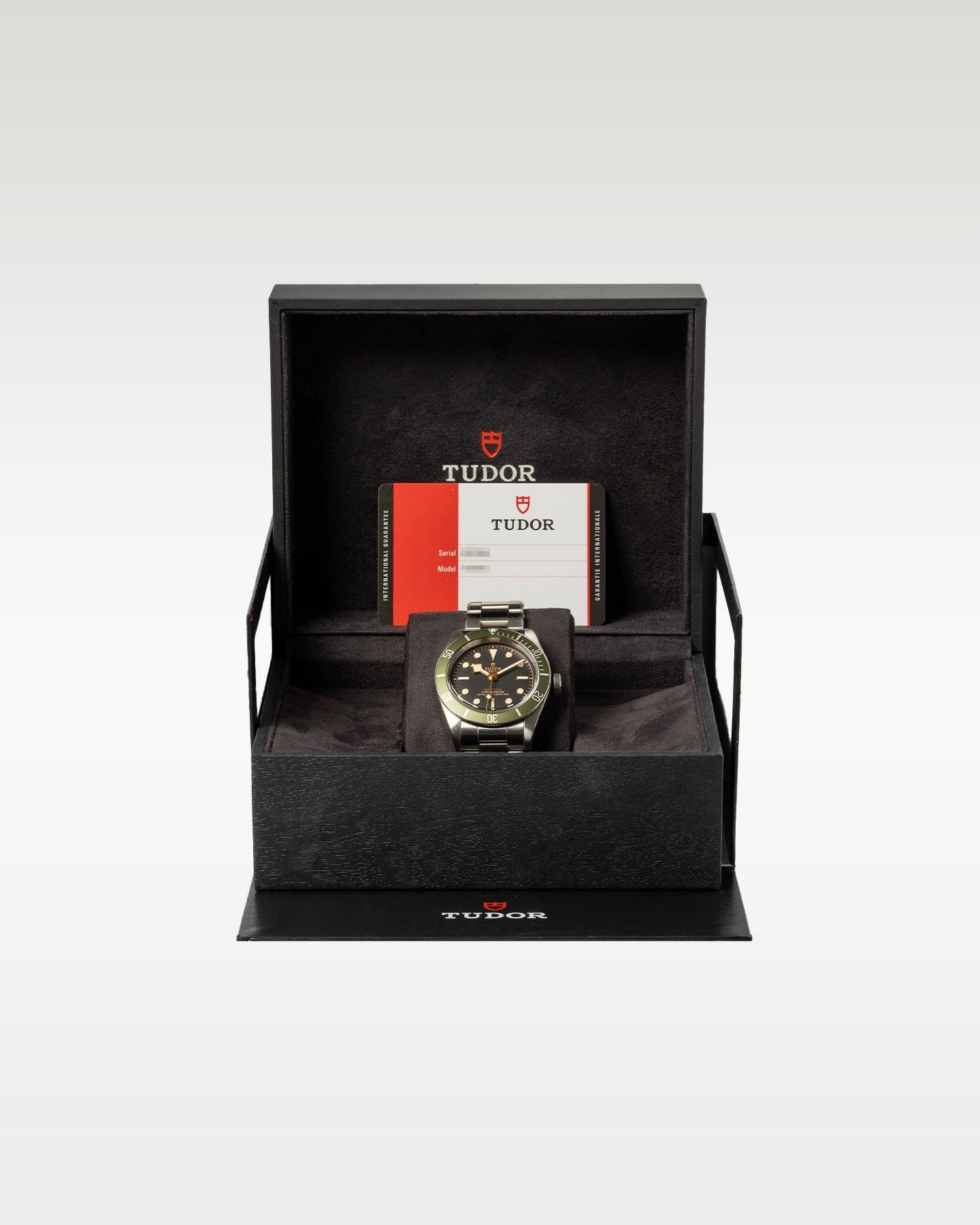 Tudor Black Bay Harrods 79230G