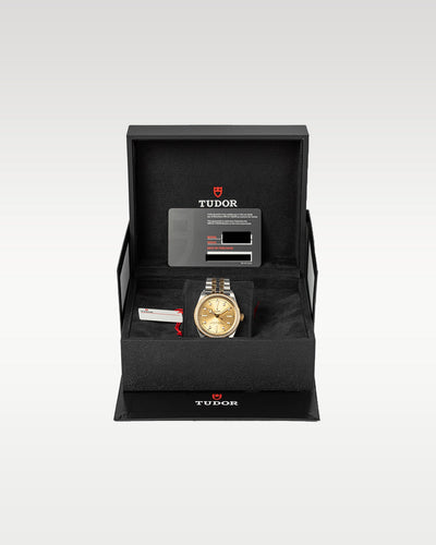 Tudor Black Bay S&G 79673