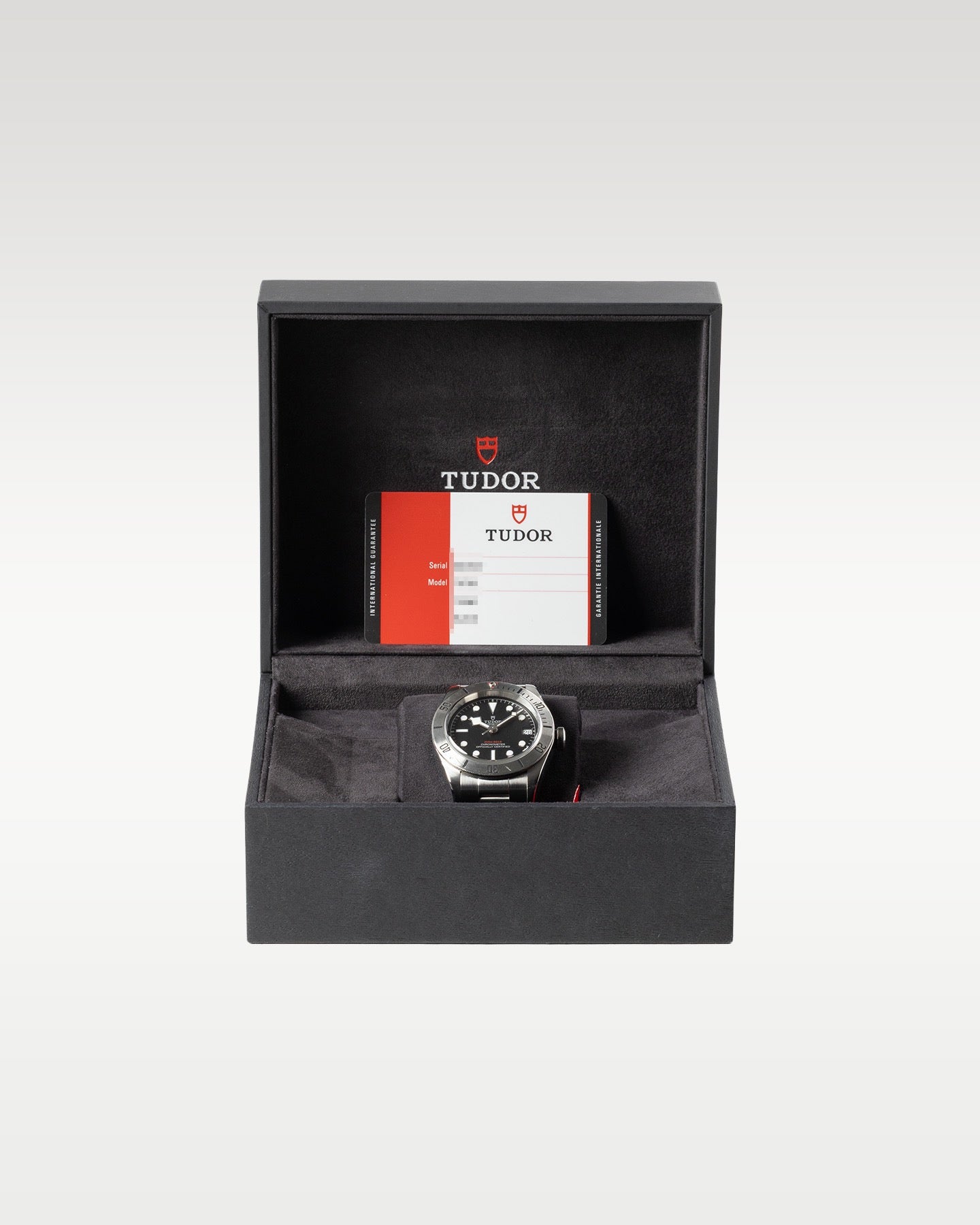 Tudor Black Bay Steel Heritage 79730