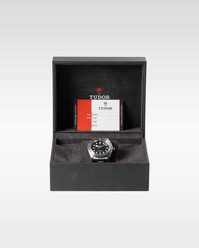 Tudor Black Bay Steel Heritage 79730