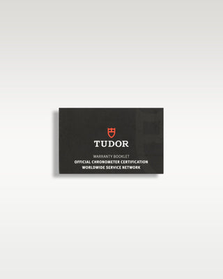 Tudor GMT Stainless Steel 79830RB