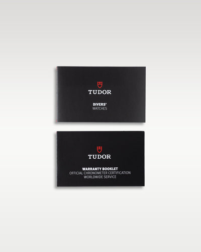 Bronze Tudor Heritage Black Bay 79250BA-0001 | Grand Caliber DFW, Texas