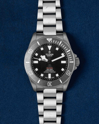 Tudor Pelagos 25407N