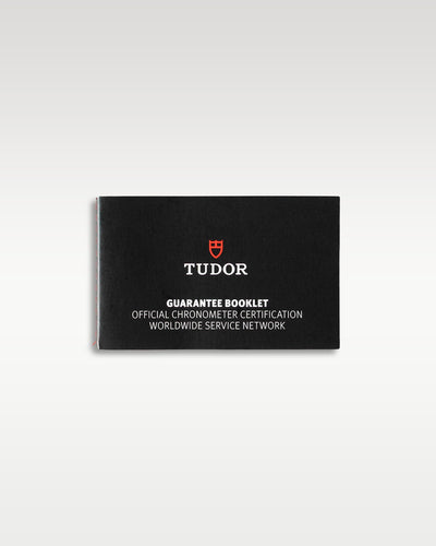 Tudor Pelagos 25600TB