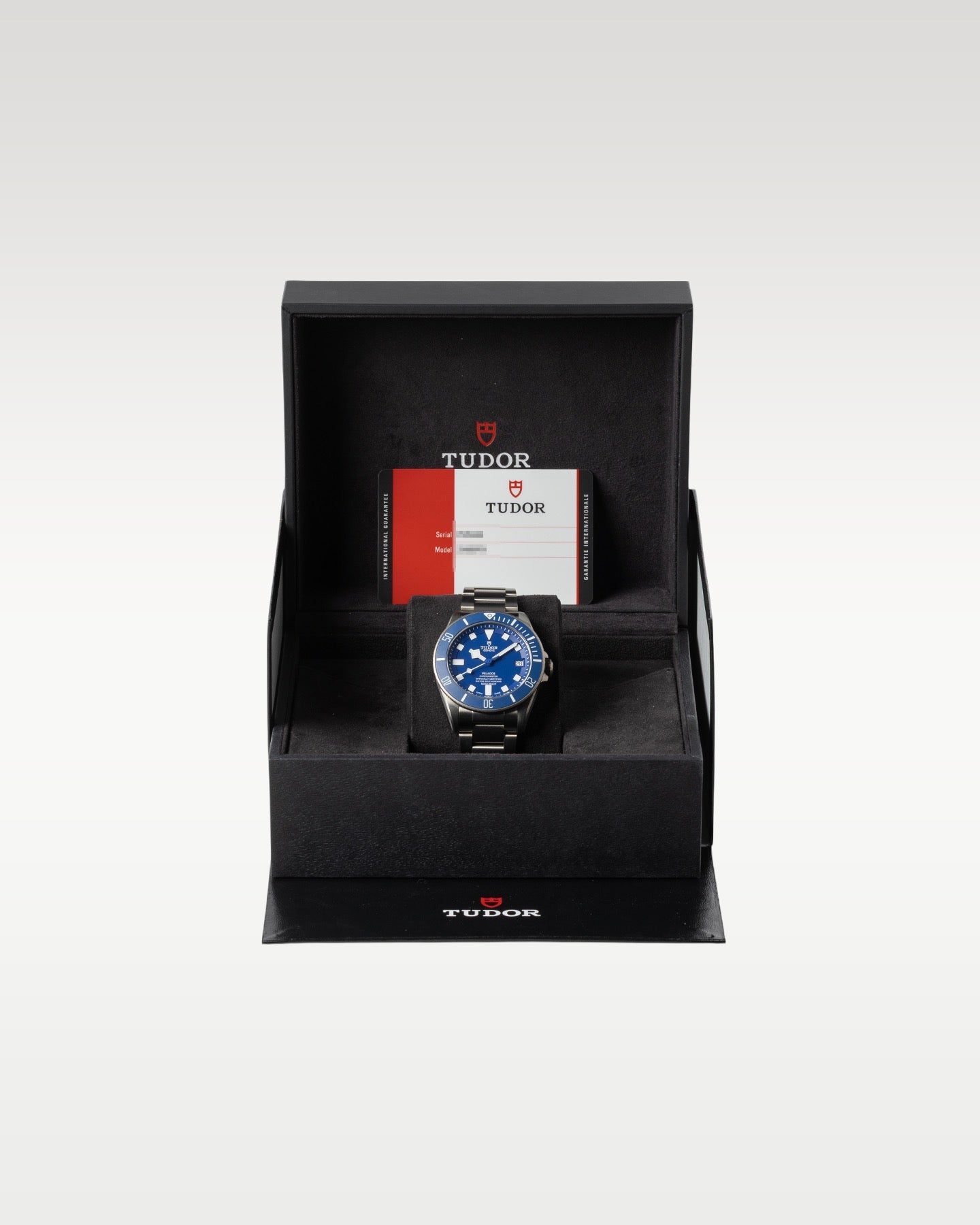 Tudor Pelagos 25600TB