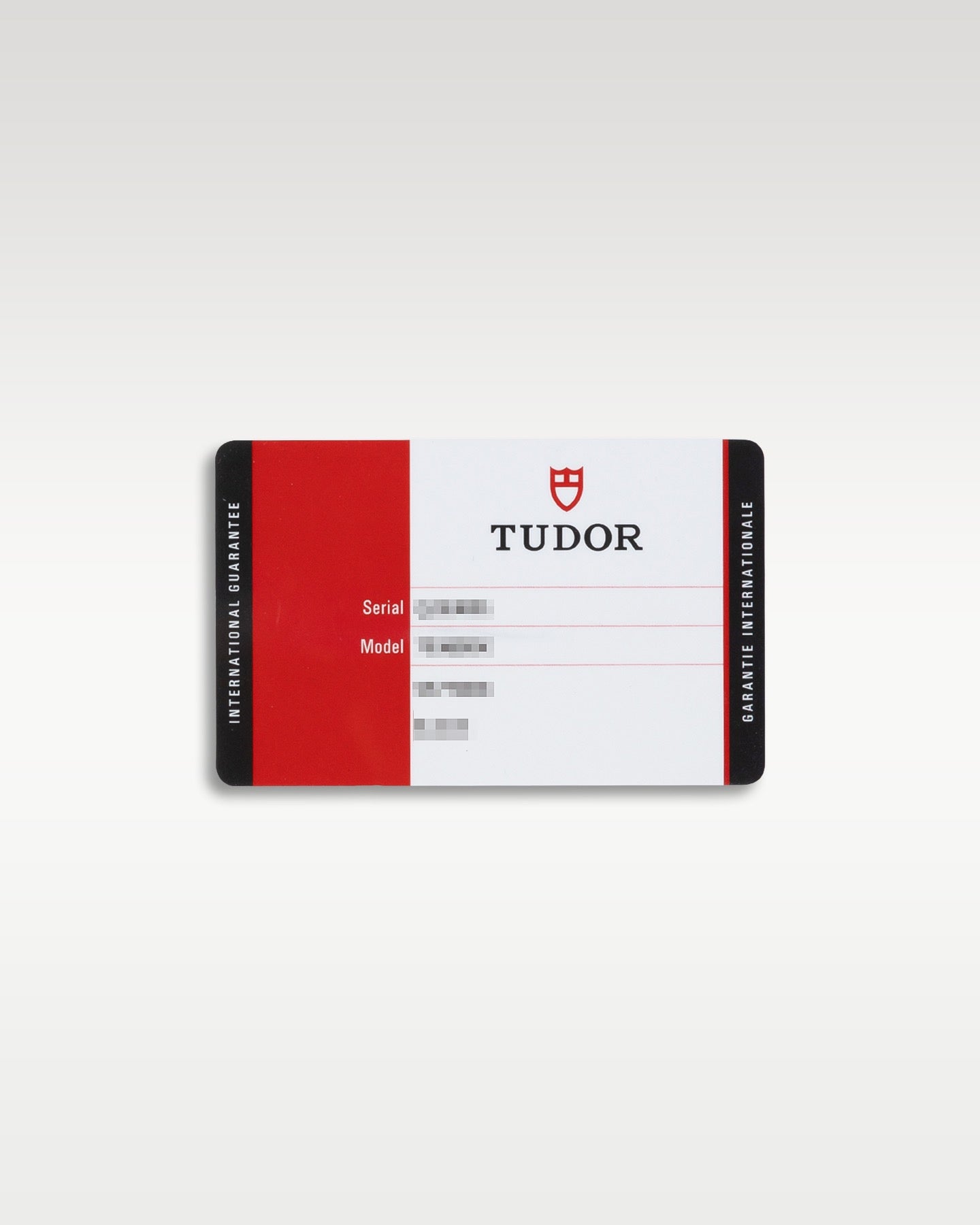 Tudor Pelagos 25600TB