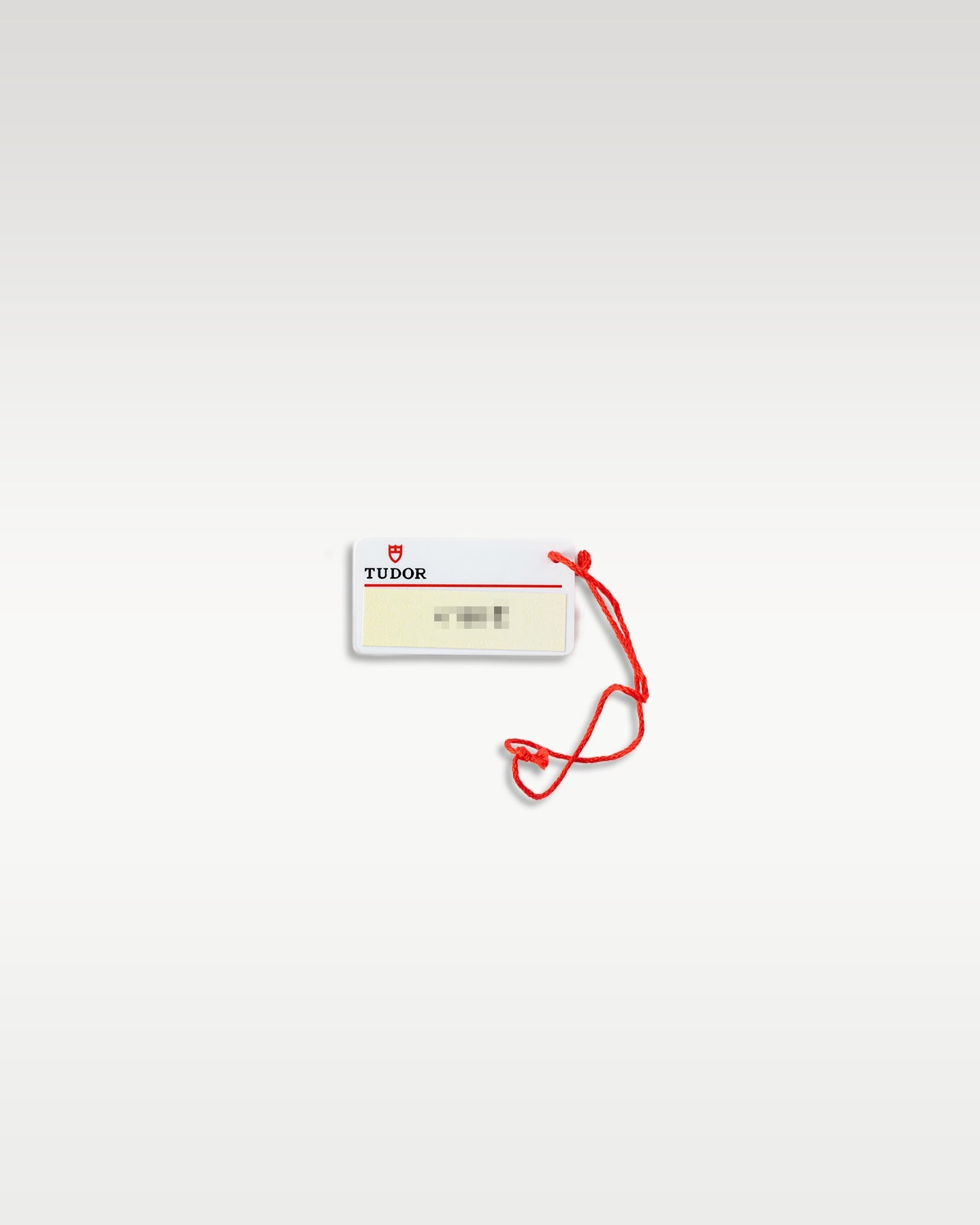 Tudor Pelagos 25600TB