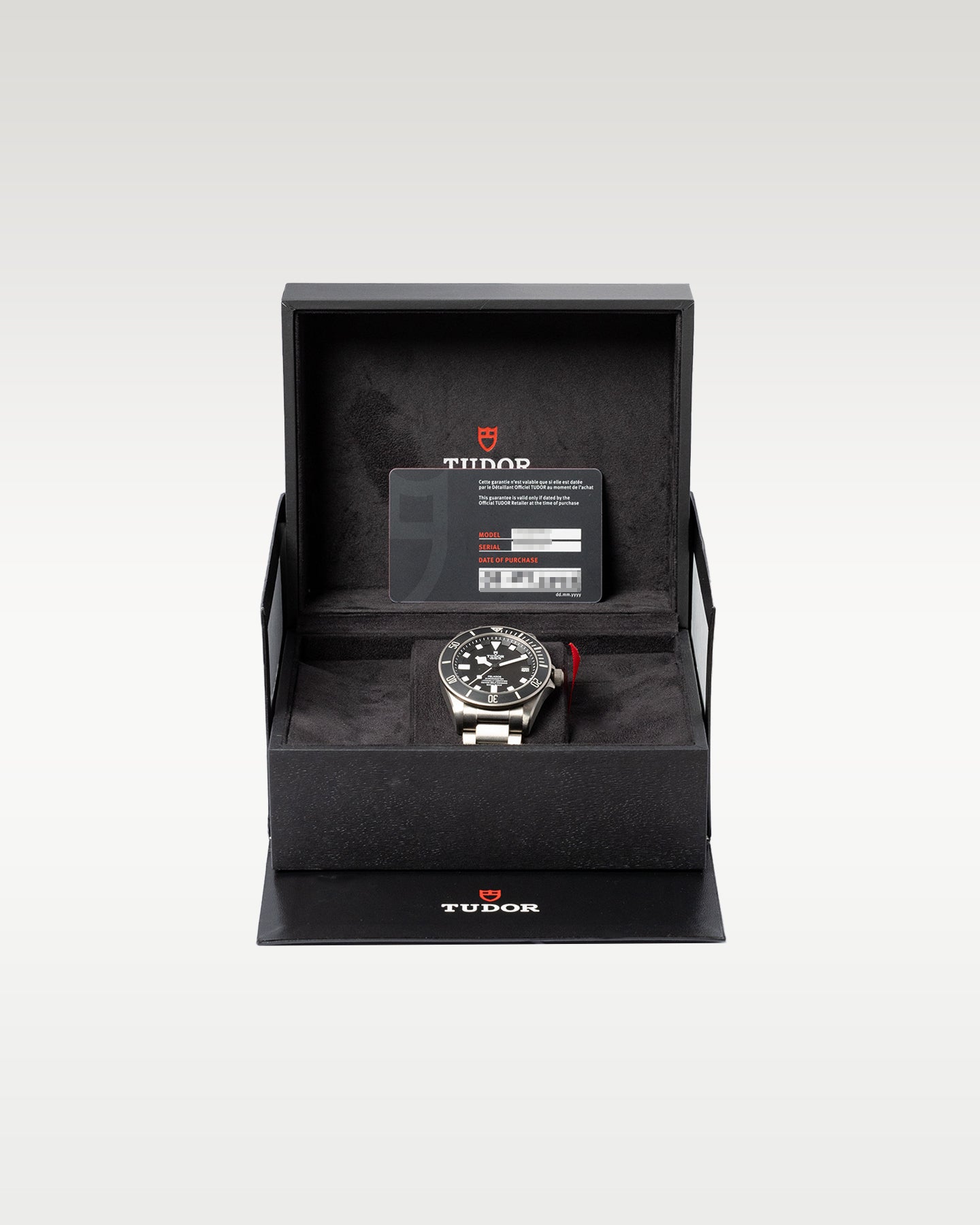 Tudor Pelagos 25600TN