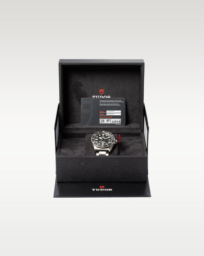 Tudor Pelagos 25600TN