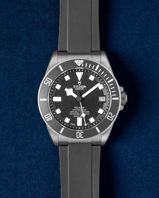 Tudor Pelagos 25600TN