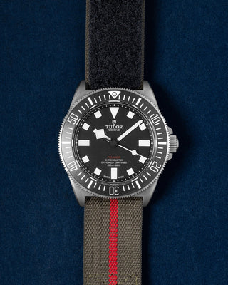 Tudor Pelagos 25717N