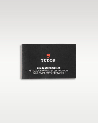 2019 Titanium Tudor Pelagos M25600TN-0001 | Grand Caliber Men's Watches