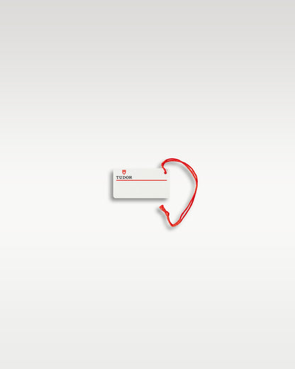 2024 black dial Tudor Ranger 79950-0001 | Grand Caliber Watches