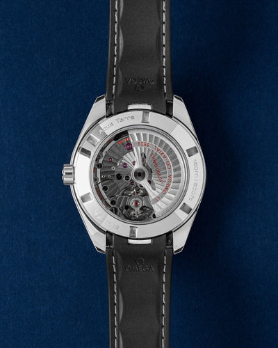 Omega Seamaster Aqua Terra 231.12.42.21.01.001