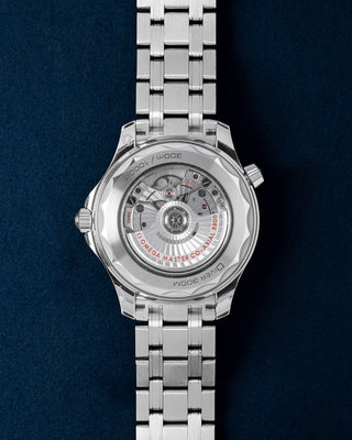 Omega Seamaster 210.30.42.20.03.001 Dallas Omega Luxury Watch Store