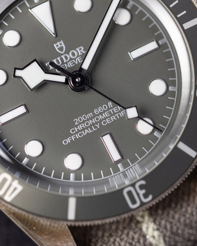 Tudor Black Bay 58 79010SG