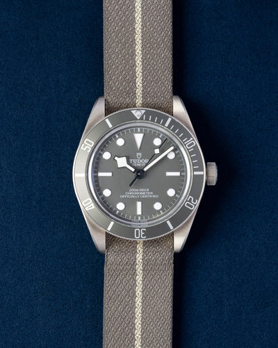 Tudor Black Bay 58 925 79010SG